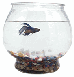 fish bowl 1 fish bowl 1