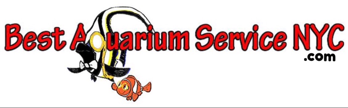 Best Aquarium Service NYC